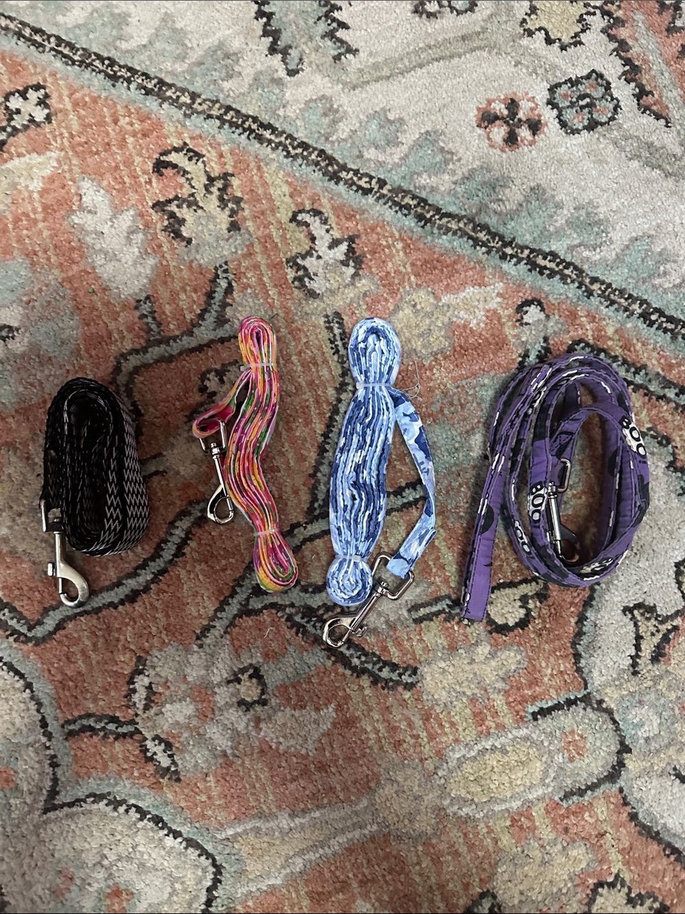 Set of Multicolor, Blue, Purple & Black Dog Leashes - Durable Everyday Leads